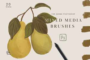 20 Photoshop Mix Media Brushes, a Brush Add-On by Jenteva Art