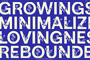 BN Blooms, a Sans Serif Font by Bnick (Thumbnail 9 of 17)