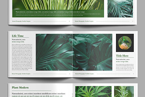 Botanic Magazine Layout