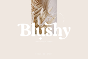 Groovy Fruity - Retro Serif, a Serif Font by Sans & Sons (Thumbnail 5 of 10)