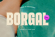 Borgal - Condensed Sans Serif Font, a Sans Serif Font by Imoodev (Thumbnail 6 of 10)