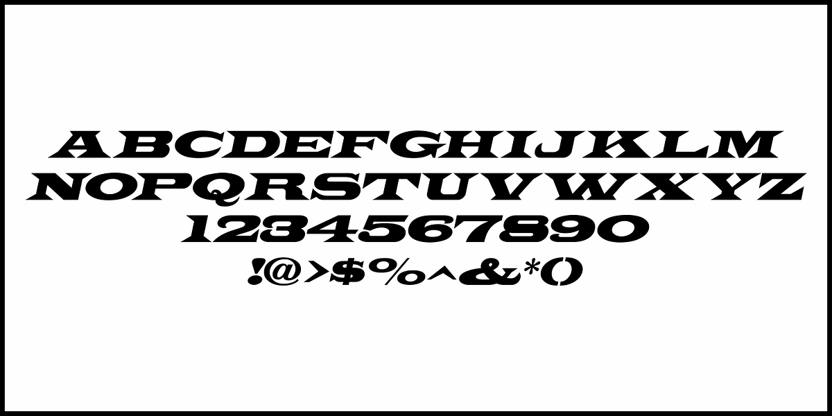 West Fork JNL, a Serif Font by Jeff Levine Fonts (Photo 5 of 5)