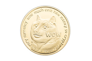 Dogecoin coin isolated on white