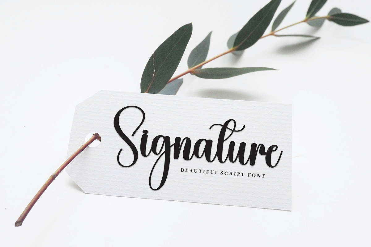 Calligraph | Script Font, a Handwritten Font by Scratchones (Photo 3 of 8)