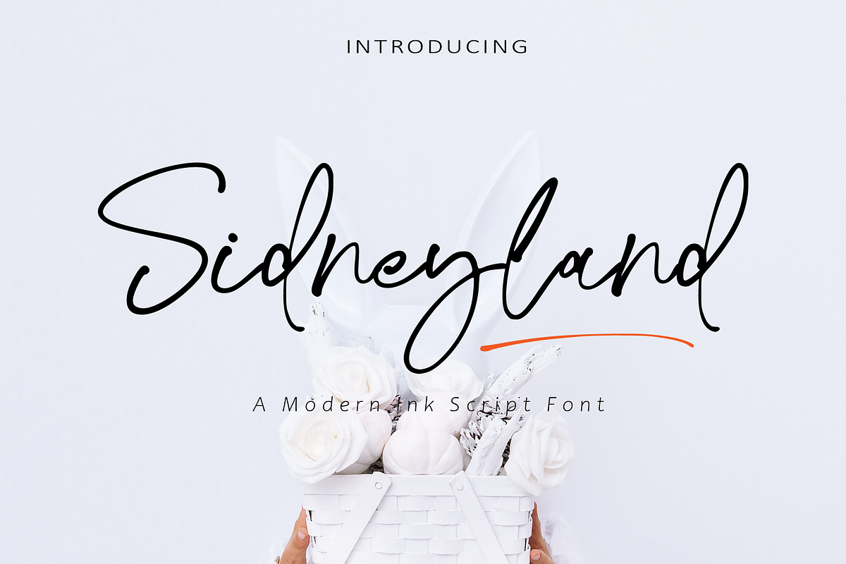 Sidneyland, a Script Font by Ibrahima_Studio (Photo 1 of 13)