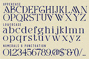 Greater Meaning - Modern Serif Font, a Serif Font by 177Studio (Thumbnail 8 of 8)