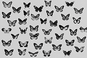 Halftone Butterfly Clipart, an Object Graphic by JulsIst (Thumbnail 6 of 7)