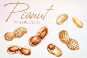 Watercolor Peanut Vector Set, a Pattern Graphic by Deckar_art (Thumbnail 1 of 3)