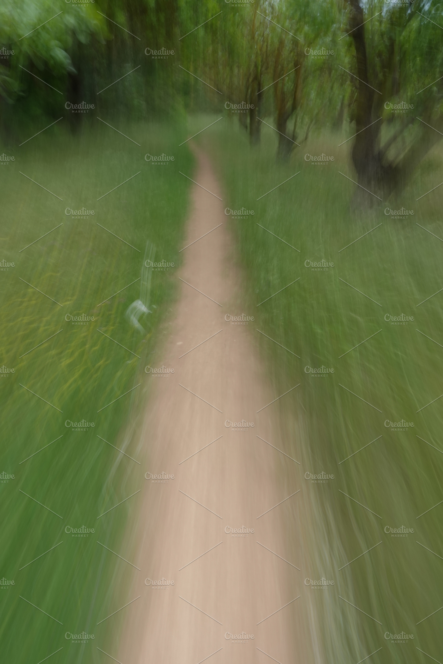 path through grass and forest trees, a Nature Photo by sirylok
