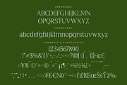 Blacindy Modern Serif Font, a Serif Font by Letterena Studios (Thumbnail 13 of 15)