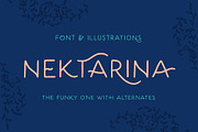 Nektarina Handwritten Font & Extras, a Font by Pencil Twist (Thumbnail 1 of 12)