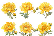 Watercolor Yellow Flower Clipart, an Object Illustration by Design Scotch (Thumbnail 5 of 7)
