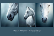 Majestic White Horse Photos, an Animal Illustration by StockVerse Creative (Thumbnail 1 of 4)