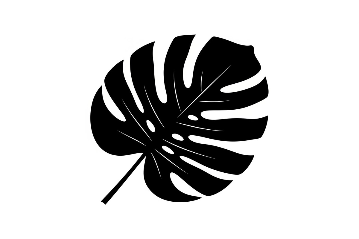Monstera Leaf Silhouette Bundle, an Illustration by yasushie (Photo 20 of 31)