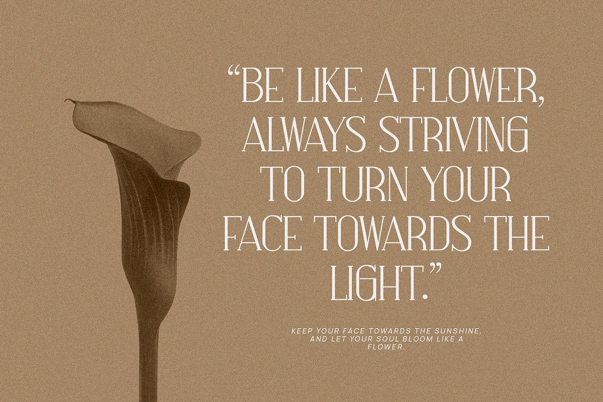Hosline Modern Serif Font, a Serif Font by Perfectype (Photo 5 of 10)
