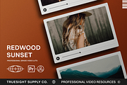 Redwood Sunset - Video LUTs, a Brushes & More by Truesight Supply Co. (Thumbnail 1 of 6)