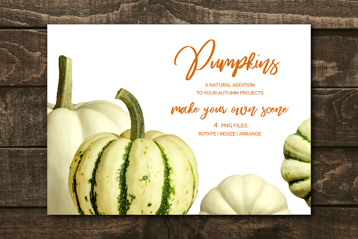 White Pumpkins - Realistic MockUp, an Object Graphic by Turning Moss (Photo 2 of 2)