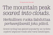 DT Augustina Slab 3 Subfamily, a Slab Serif Font by Deveze Type Foundry (Thumbnail 4 of 31)