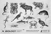 125 Vector Bitmap Assets. Biology, a Graphic by Vanzyst (Thumbnail 4 of 16)