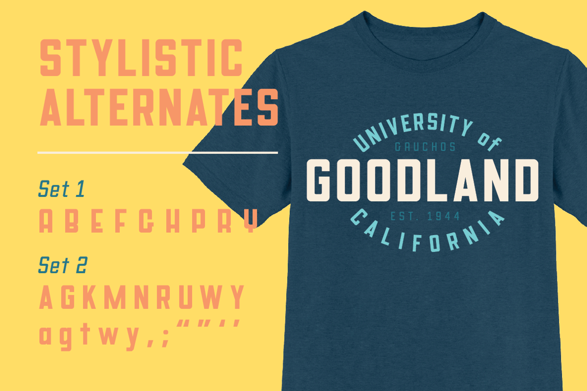 Goodland Text retro industrial font, a Sans Serif Font by Swell Type (Photo 6 of 6)
