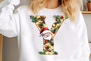 Christmas Alphabet Png Bundle_02, an Illustration by SinaCreation (Thumbnail 5 of 7)