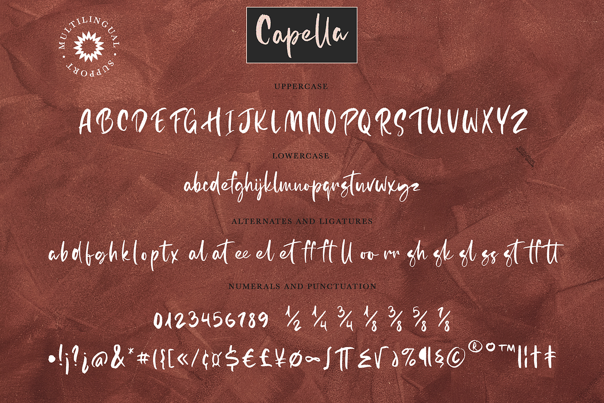 Capella, a Script Font by Larin Type Co. (Photo 9 of 9)