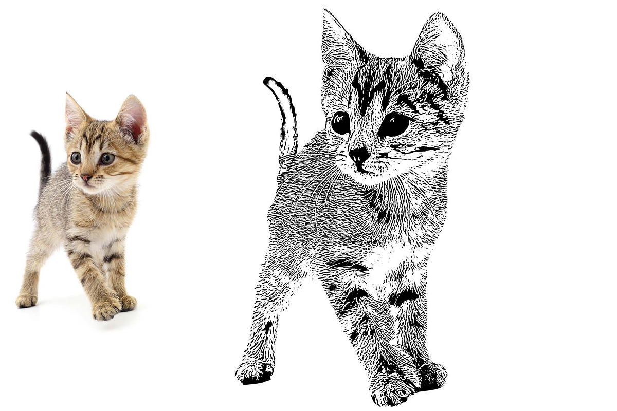 Animal Photo to Tracing, an Action Add-On by MRI STUDIO (Photo 9 of 10)