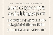 Calmore - Modern Elegant Serif, a Serif Font by Shakira Studio (Thumbnail 9 of 10)
