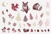 Woodland Mystic Animals & Botanical, a Decorative Illustration by Christine Krahl (Thumbnail 11 of 12)