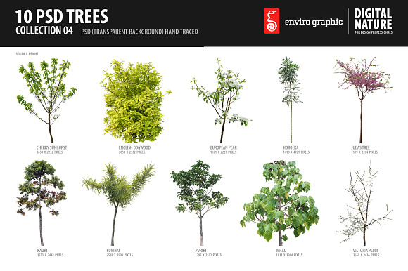 10 PSD trees Collection 4 preview 5
