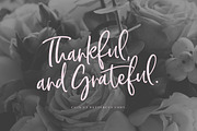 Chin Up Buttercup! Font Duo & Extras, a Script Font by Nicky Laatz (Thumbnail 7 of 14)