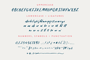 Lekker Handwritten Font, a Sans Serif Font by Susan Brand Design (Thumbnail 4 of 4)