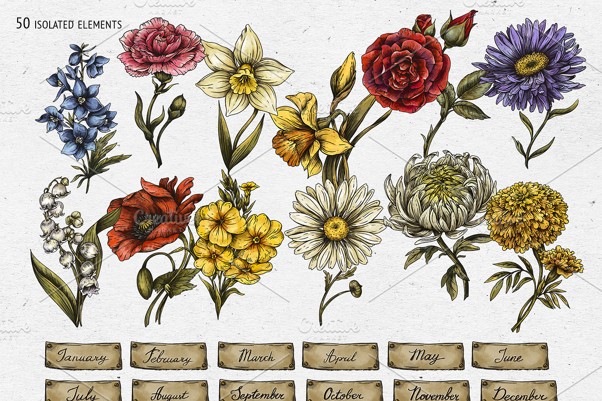 Birth Flowers & Birthstone Clipart, an Illustration by Belusuab (Photo 2 of 16)