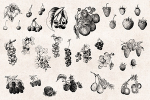 Fruits Engravings Set