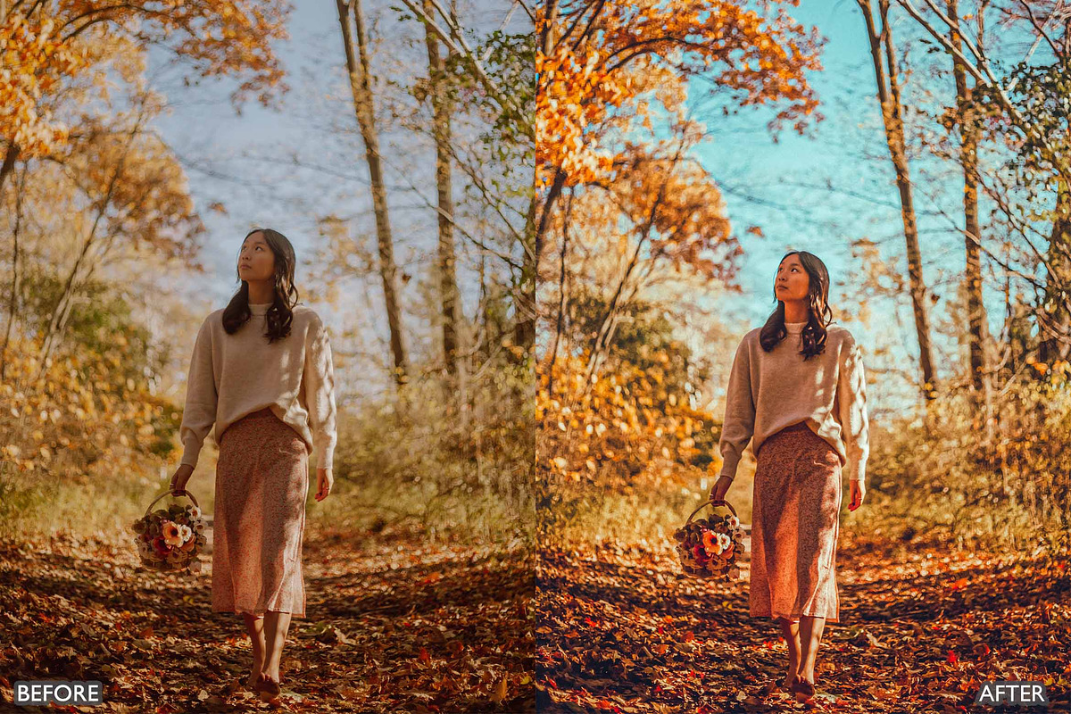 FALL PRESETS for Autumn Photos, a Preset Add-On by AAA Presets (Photo 17 of 22)