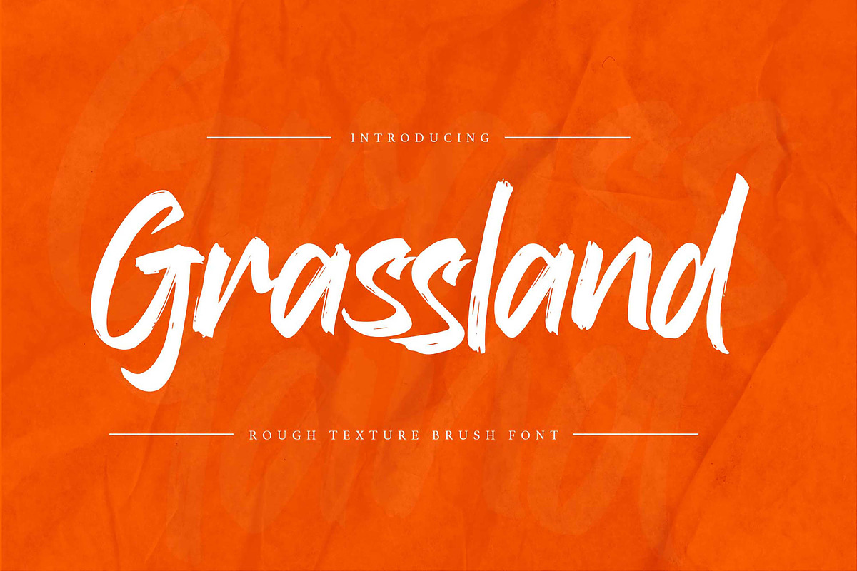 Grassland – Rough Texture Brush Font, a Handwritten Font by Gassstype (Photo 1 of 10)