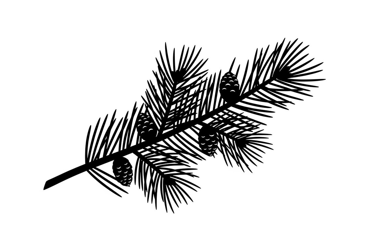 Floral Ornament Silhouette Bundle, an Illustration by BIPLOB EXPERT (Photo 25 of 51)