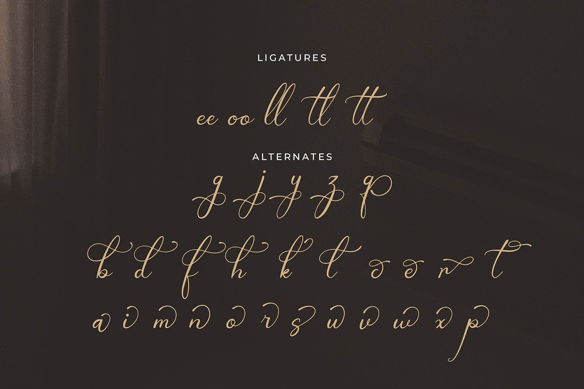 Teofandin Levantamy | Wedding Script, a Script Font by Denustudios (Photo 12 of 14)