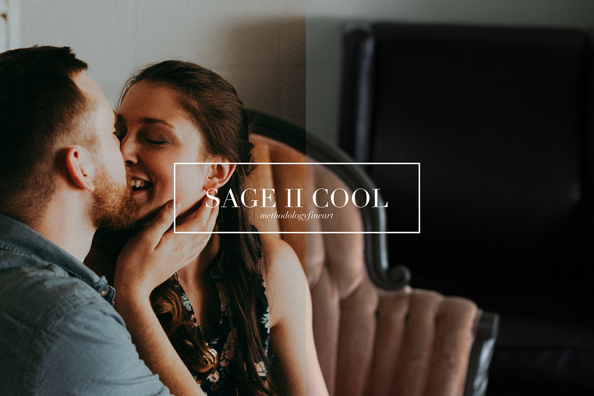 Sage, Moody Lightroom & ACR Presets, an Action Add-On by Darling Josephine (Photo 7 of 27)