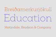Peckham, a Slab Serif Font by Los Andes Type (Thumbnail 10 of 14)