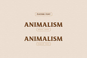 Seattle, a Sans Serif Font by Burnoth Design Co. (Thumbnail 5 of 11)
