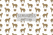 European wild cats clipart, an Animal Illustration by pet design shop (Thumbnail 10 of 10)
