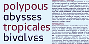 Antipod, a Sans Serif Font by Octotypo (Thumbnail 5 of 7)