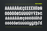 Neutralis Grotesk, a Sans Serif Font by Fargun Studio (Thumbnail 9 of 15)