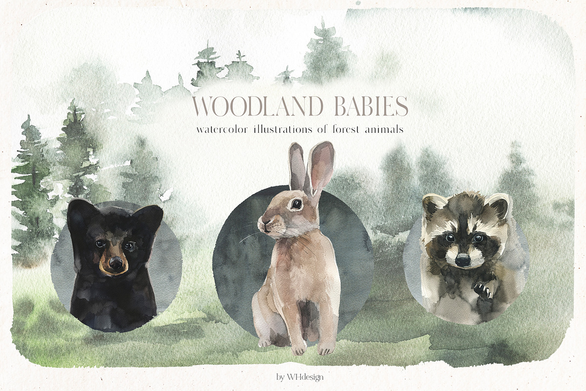 Woodland Babies Wild Animals Clipart, an Animal Illustration by whiteheartdesign (Photo 1 of 28)