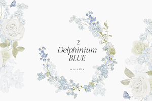 Delphinium Blue Delicate Flowers