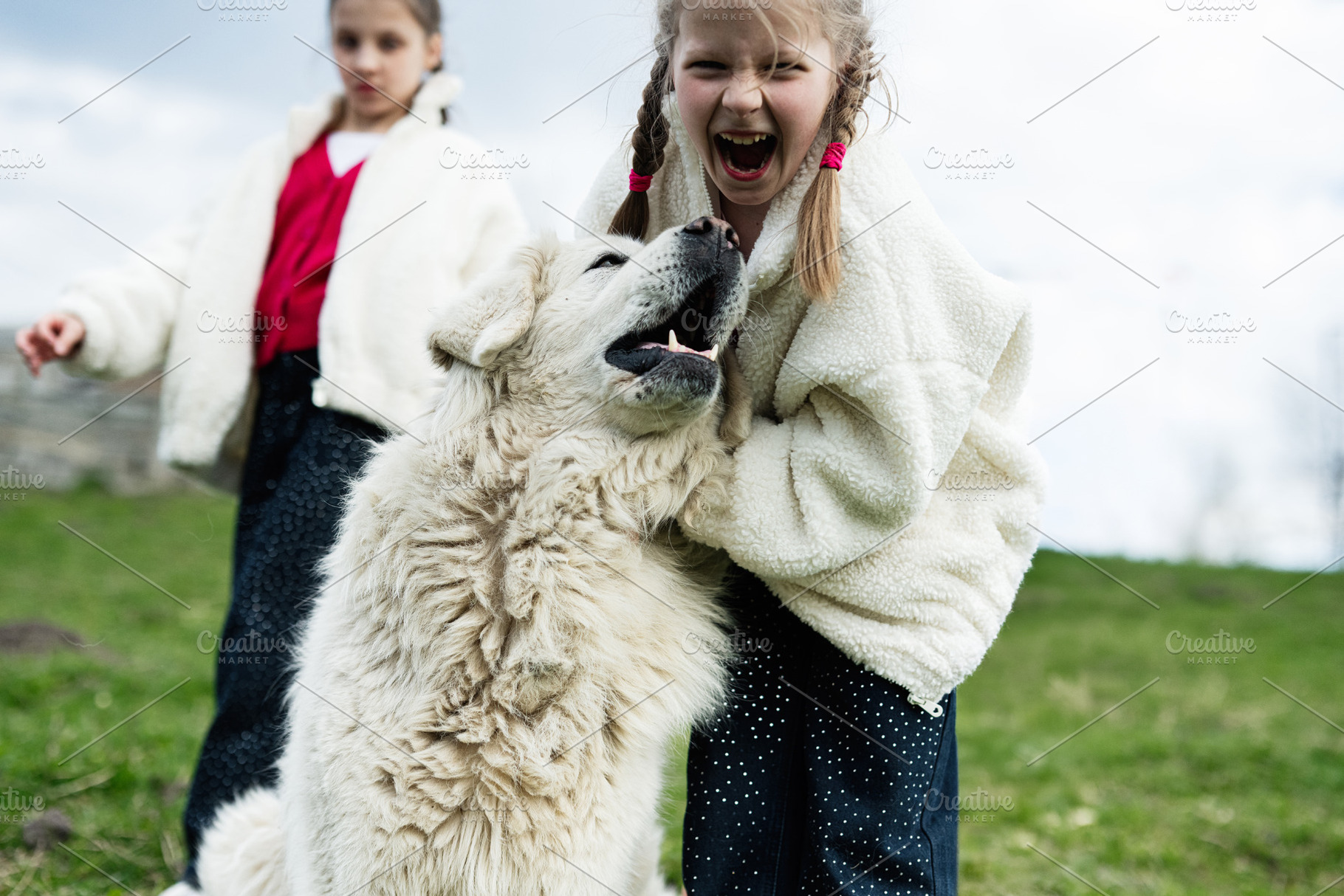 Two young girls playing and laughing with a large fluffy white dog outdoors in, a Person Photo by AS photostudio