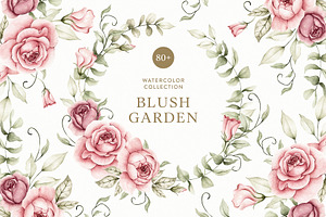 Watercolor Blush Roses Floral Set