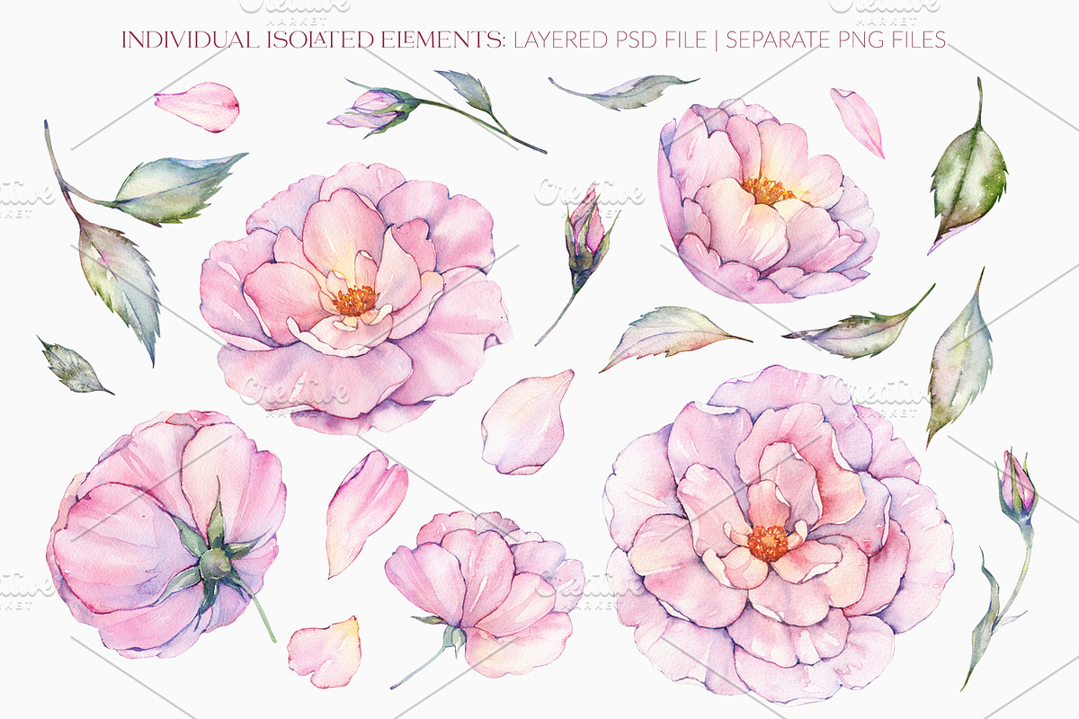 Watercolor Roses Clipart & Patterns, an Illustration by PicByKate (Photo 2 of 7)
