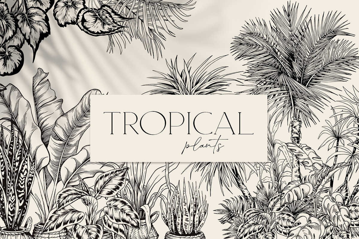 Tropical black& white plants, a Decorative Illustration by Jeanna Draw (Photo 1 of 19)